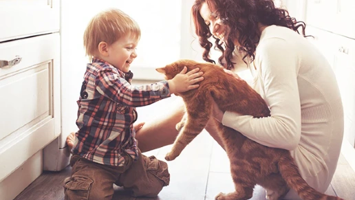 Quecasa Móveis Planejados